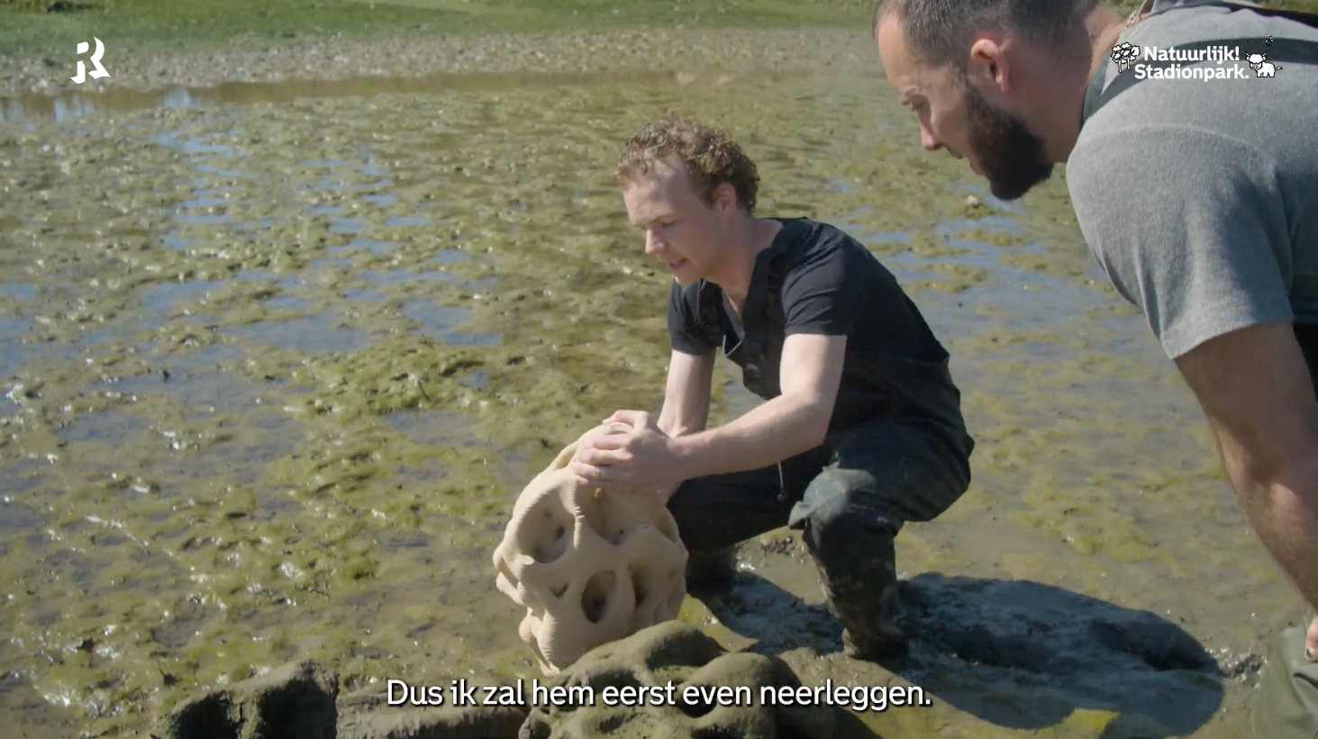 Natuurlijk_Stadionpark_-_Urban_Reef.png